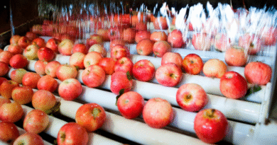 El 31 de agosto cierra inscripción en RENSPA y adhesión a programas de Exportación de Frutas Frescas El 31 de agosto cierra inscripción en RENSPA y adhesión a programas de Exportación de Frutas Frescas