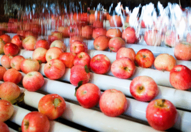 El 31 de agosto cierra inscripción en RENSPA y adhesión a programas de Exportación de Frutas Frescas El 31 de agosto cierra inscripción en RENSPA y adhesión a programas de Exportación de Frutas Frescas