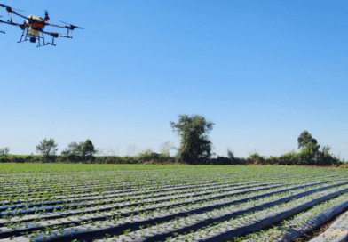 En Tucumán se realizará el Primer Congreso Internacional de Drones En Tucumán se realizará el Primer Congreso Internacional de Drones