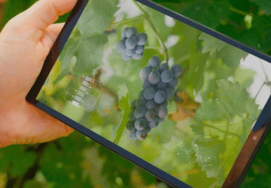 Avanza la transformación digital de la vitivinicultura argentina Avanza la transformación digital de la vitivinicultura argentina