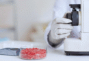 Con irradiación gamma, reducen la presencia de Escherichia coli