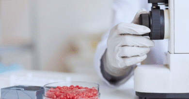 Con irradiación gamma, reducen la presencia de Escherichia coli