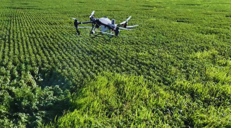 Drones, datos y decisiones: el desafío de una gestión más inteligente