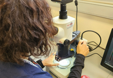 Nuevo portal Mi SENASA: Acceso online a la consulta de resultados de análisis de laboratorio