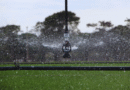Innovación tecnológica para hacer más eficiente el agua de riego